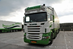 Groda-Est-291011-015