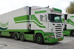 Groda-Est-291011-021