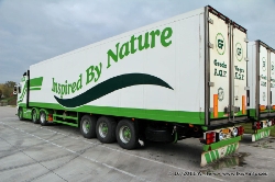 Groda-Est-291011-028