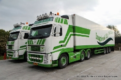 Groda-Est-291011-033