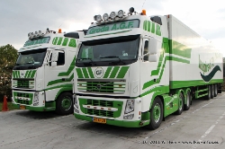 Groda-Est-291011-034