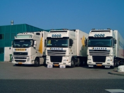 DAF-XF-Hellebrand-Levels-041105-01