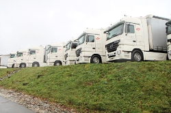 Hermanns+Kreutz-281109-034