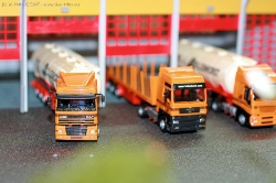 Modelle-Hollenhorstr-021207-14