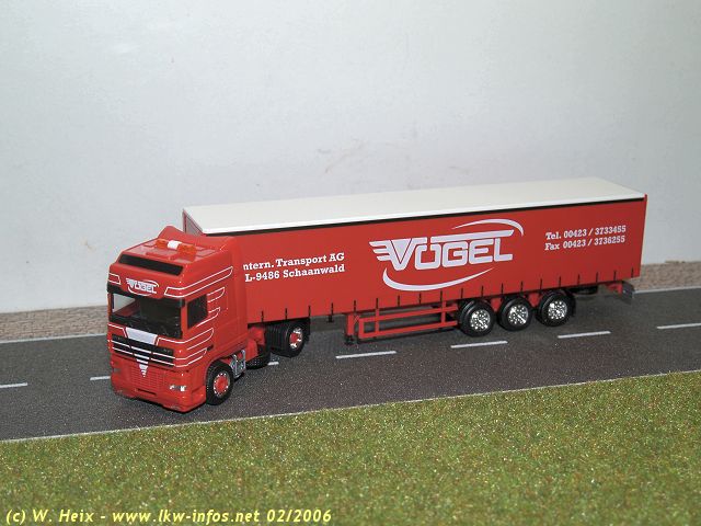 DAF-XF-Voegel-rot-250206-02.jpg