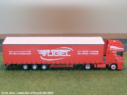 DAF-XF-Voegel-250806-04