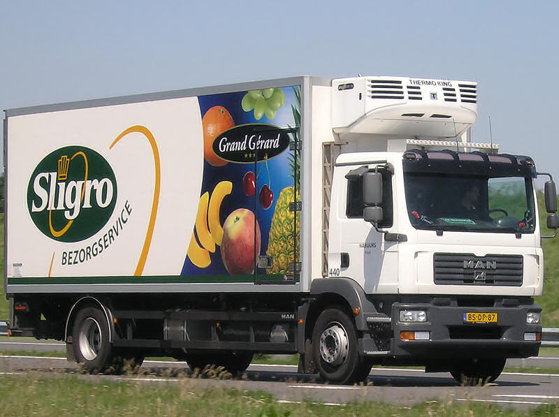 MAN-TGM-Nabuurs-Elskamp-010706-03.jpg - Rob Elskamp