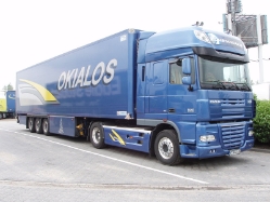 DAF-XF-105510-Okialos-Holz-310807-01