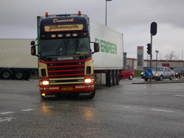 Scania-164-L-480-Pedersen-Stober-290404-2.jpg - Ingo Stober