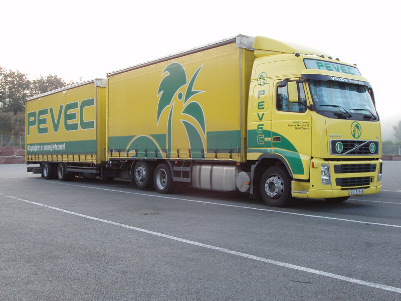 Volvo-FH-440-Pevec-Holz-220807-02.jpg - Frank Holz