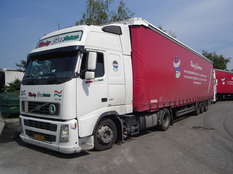 Volvo-FH12-460-Revesz-Tamas-Halasz-140607-01.jpg - Tamas Halasz