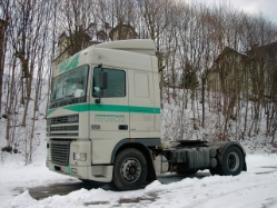 DAF-95-XF-430-Stadler-Haselsberger-170105-1