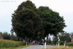 Terlinden-Uedem-130908-125