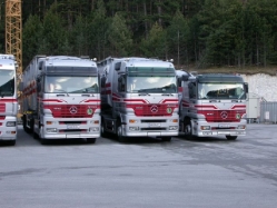 Fuhrpark-Toifl-Palischek-100105-02