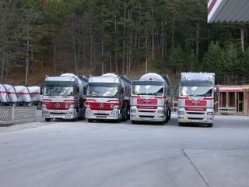 Fuhrpark-Toifl-Palischek-100105-04