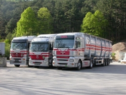 MAN-TGA-MB-Actros-Toifl-Palischek-290505-01
