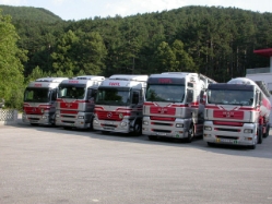 Fuhrpark-Toifl-Palischek-151106-01