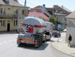 MAN-TGA-XL-Toifl-Palischek-110806-01