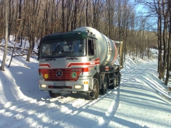 MB-Actros-Toifl-K-Palilschek-210508-02