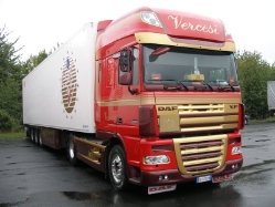 DAF-XF-105460-Vercesi-Holz-040209-02