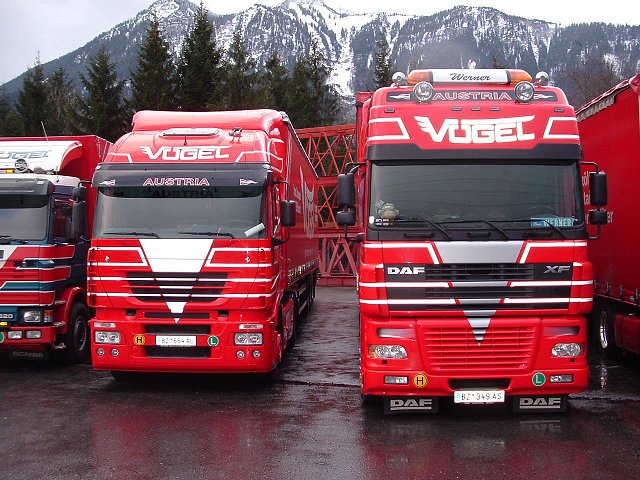 30-DAF-XF-Iveco-Stralis-Voegel-(Ben)-1.jpg - Ben