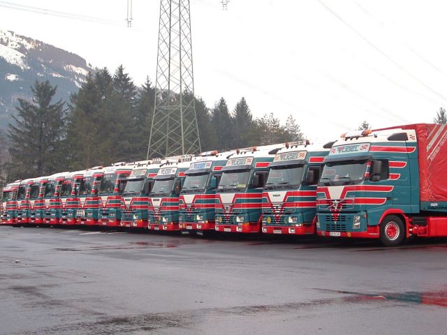 Fuhrpark-blau-Voegel-Ben-301204-1.jpg - Ben