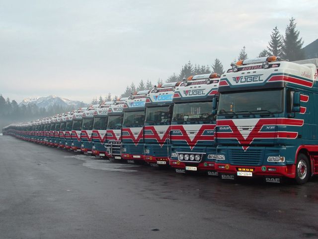 Fuhrpark-blau-Voegel-Ben-301204-4.jpg - Ben