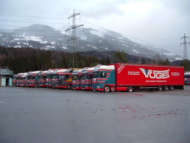 Fuhrpark-blau-Voegel-Ben-301204-5.jpg - Ben