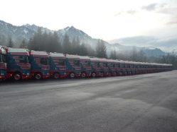 Fuhrpark-blau-Voegel-Ben-301204-9