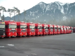 Fuhrpark-rot-Voegel-Ben-301204-1