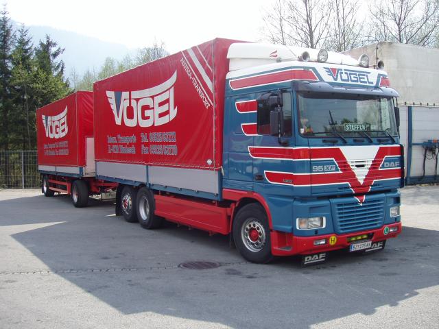 DAF-95-XF-430-Voegel-Holz-030504-5.jpg