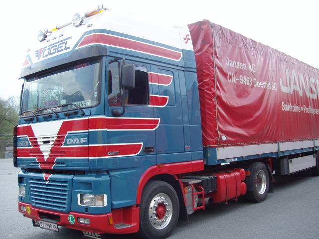 DAF-95-XF-480-Voegel-Holz-030504-1.jpg