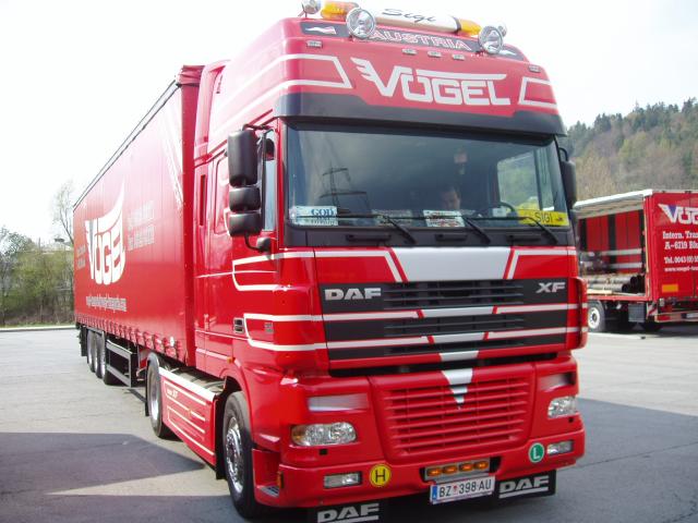DAF-XF-95480-Voegel-Holz-030504-4.jpg