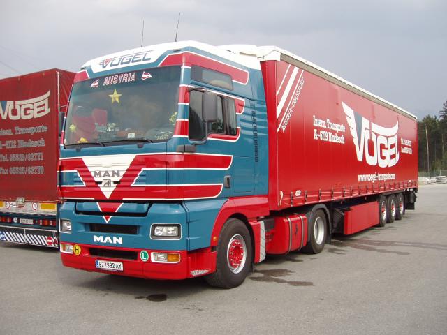 MAN-TGA-XXL-Voegel-Holz-030504-2.jpg
