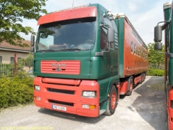 106-MAN-TGA-18460-XXL-Vogel-040406