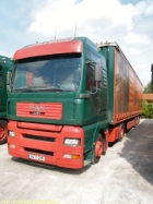 113-H-MAN-TGA18460-XXL-Vogel-040406