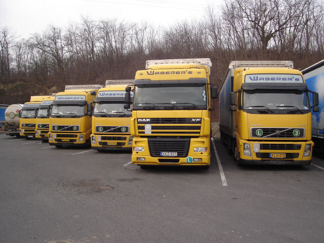 DAF+Volvo-Waberers-Tamas-Halasz-030207-05.jpg - Tamas Halasz