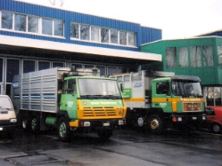 Stayr-91+MAN-F90-24322-Zingg-(Meier)