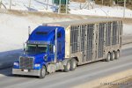 Kanada-Schofield-2013-054.jpg