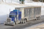 Kanada-Schofield-2013-217.jpg