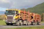 Neuseeland-Schofield-181112-148.jpg