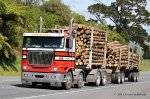 Neuseeland-Schofield-2013-021.jpg