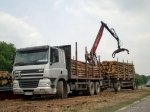 20160101-Holztransporter-00002.jpg